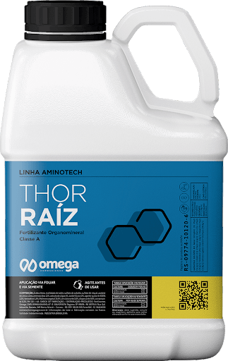 Thor Raíz